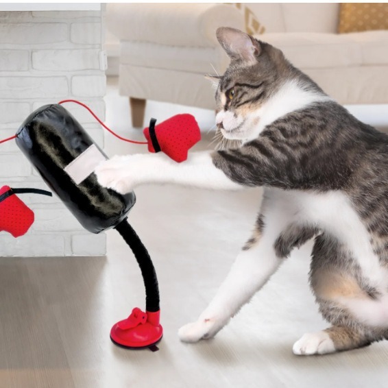 Portable Cat Punching Bag Toy Interactive Indoor Cats Kitten Toy With Gloves Cat Toy For Kitten Pet Cat Supplies Pets Products - Image 4