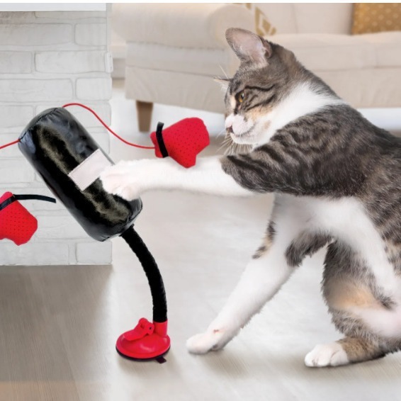 Portable Cat Punching Bag Toy Interactive Indoor Cats Kitten Toy With Gloves Cat Toy For Kitten Pet Cat Supplies Pets Products - Image 7